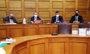 Ο Ανδρέας Νικολακόπουλος αντιπρόεδρος της ειδικής επιτροπής